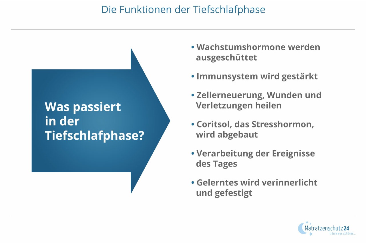 Die Funktionen der Tiefschlafphase: Zellerneuerung, Immunsystem und Ged&auml;chtnis