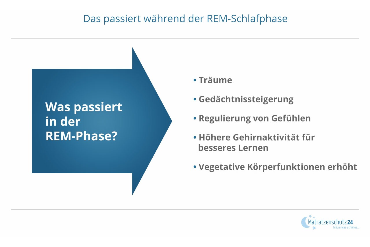 Was während der REM Schlafphase passiert