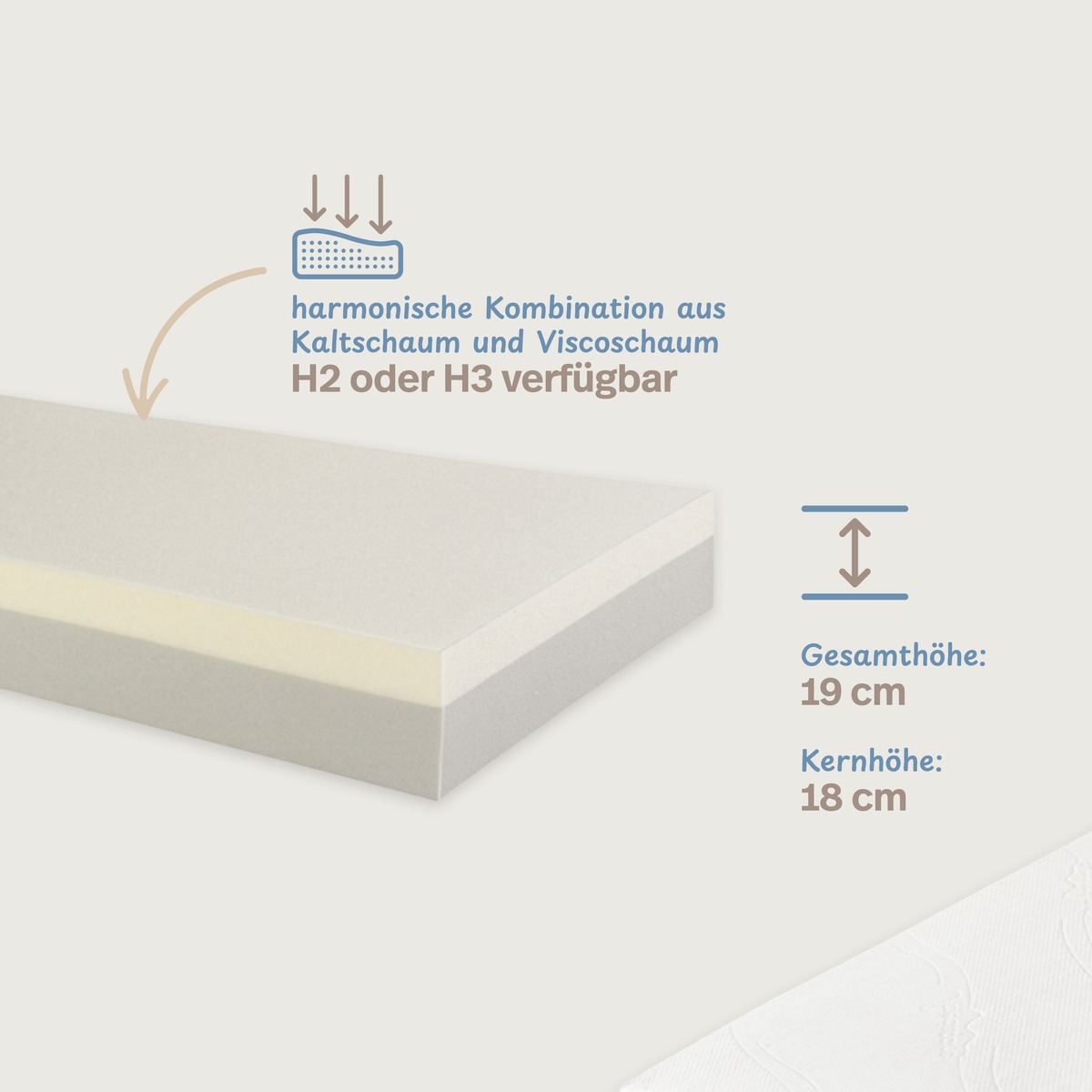 PROCAVE Luxusviscomatratze VT 3 — Infografik: Gesamthöhe 19 cm, harmonische Kombination aus Kaltschaum und Viscoschaum, H2 oder H3 verfügbar